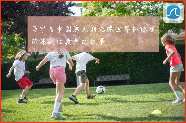 马宁与中国意大利无缘世界杯球迷热捧这位裁判的故事