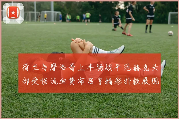 荷兰与摩洛哥上半场战平范赫克头部受伤流血费布吕亨精彩扑救展现实力